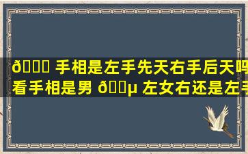 🐋 手相是左手先天右手后天吗,看手相是男 🌵 左女右还是左手先天右手后天